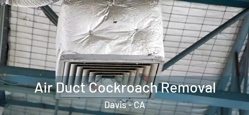 Air Duct Cockroach Removal Davis - CA