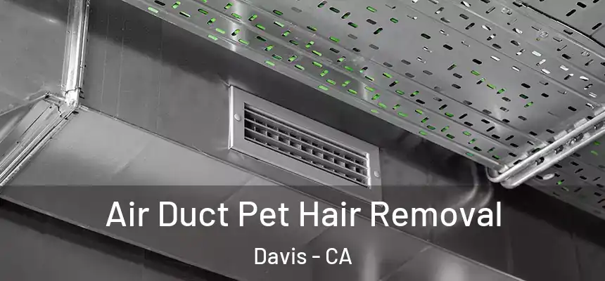  Air Duct Pet Hair Removal Davis - CA