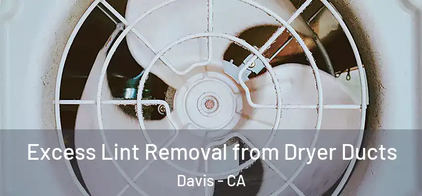 Excess Lint Removal from Dryer Ducts Davis - CA