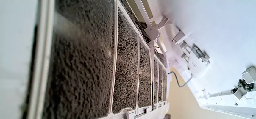 Preventive Air Duct Bacteria Removal in Davis