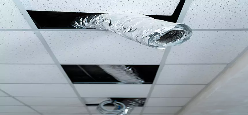 Affordable HVAC Sanitizing After Pest Removal in Davis