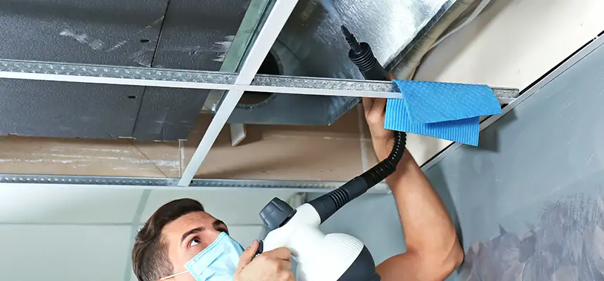 Our Air Duct Rodent Removal Services in Davis, CA