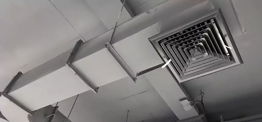 Restorative Allergy Relief Vent Cleaning – Coil, Blower & Housing Detail in Davis