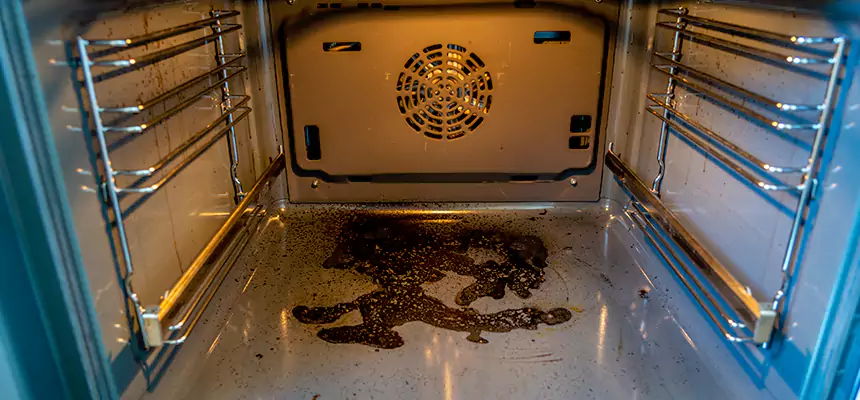 Our Dryer Vent Mold Cleaning Services in Davis, CA