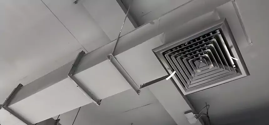 Our Rodent Droppings In Vents Services in Davis, CA