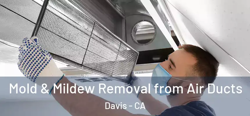  Mold & Mildew Removal from Air Ducts Davis - CA