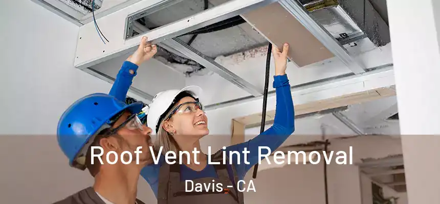  Roof Vent Lint Removal Davis - CA