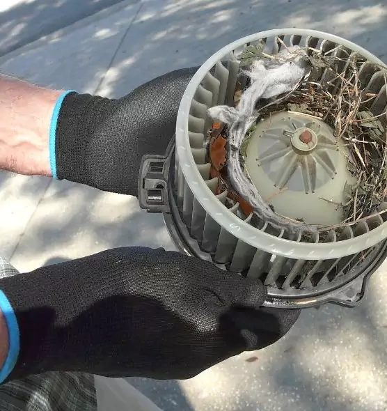 About Air Duct Rat Removal in Davis, CA