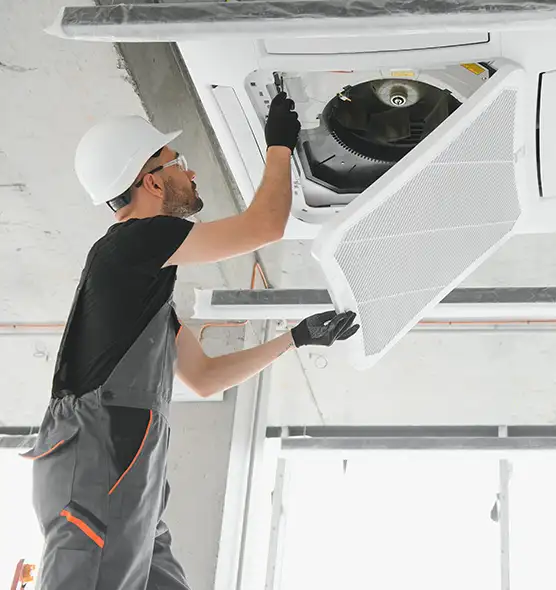 About Air Duct Rodent Removal in Davis, CA