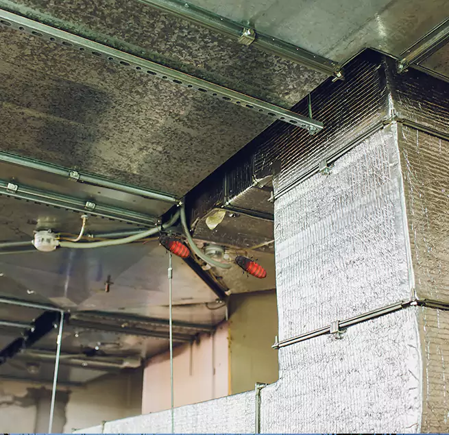 Why Homeowners & Businesses Trust Us in Davis, CA?