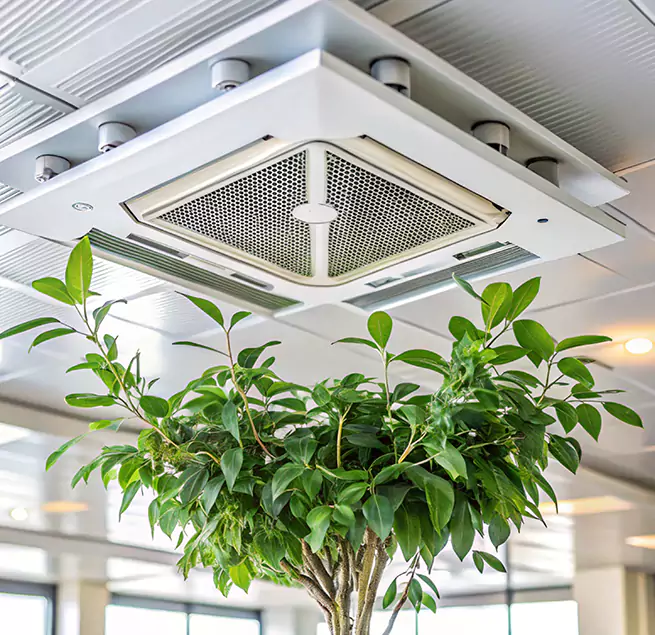 Why Homeowners & Businesses Trust Us in Davis, CA?